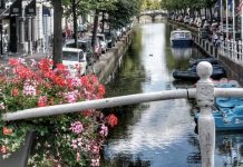 Budowa domu – do czego potrzebny jest Geodeta?