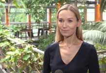 Komisja Europejska może zwiększyć cele redukcji emisji CO2 do 2030 roku. Będzie to wymagało zmian we wszystkich sektorach gospodarki