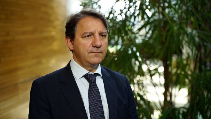 tridico-buda-szara-strefa-foto