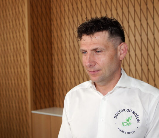 Jakość polskich zbóż w czołówce UE. Produkcja coraz częściej jest wspierana przez cyfryzację i nowe techniki hodowli