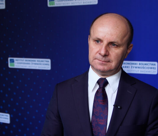 Nowy budżet UE może zmienić zasady finansowania rolnictwa. O jego skuteczności zdecyduje nie tylko pula środków, ale i priorytety
